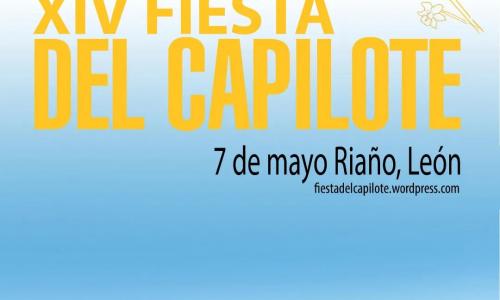 XIV fiesta del capilote.