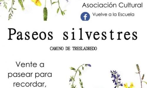 Paseos silvestres.