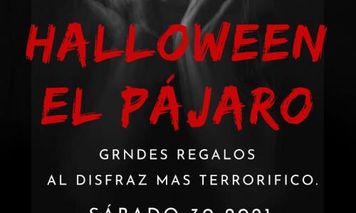 Halloween El Pájaro.