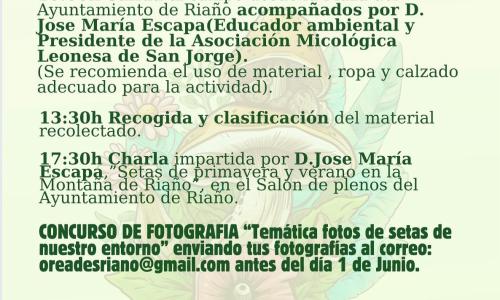 Jornadas micológicas de primavera.