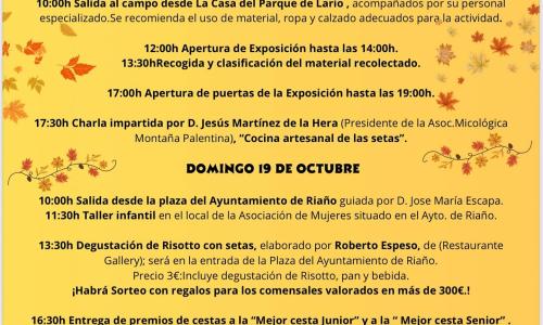 XIV jornadas micológicas Oreades.
