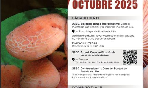 Jornadas micológicas Puebla de Lillo.