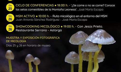 Micología en el Valle de Sabero.