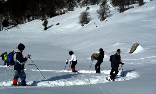 Tobaventura: Nieve