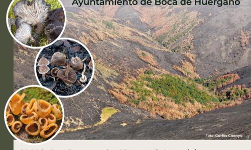 JORNADA SOBRE BIODIVERSIDAD Y REGENERACIÓN.