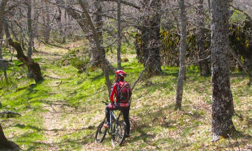 Lagunas-Hoyón (BTT)