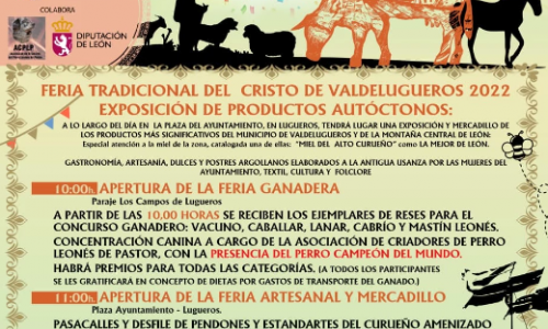 Feria tradicional del Cristo de Valdelugueros.