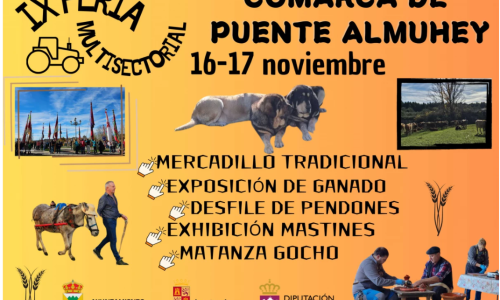 Feria multisectorial comarca de Puente Almuhey.