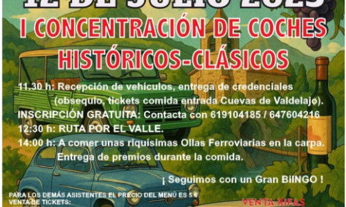 Concentración de coches históricos - clásicos y Feria del vino.