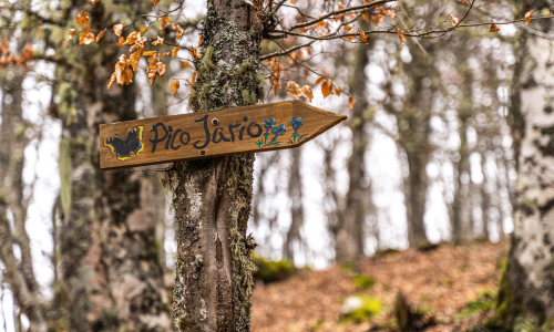 consejos para seguir las señales en la montaña