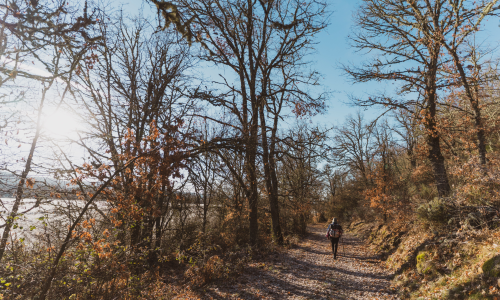 cuando ir mejor epoca para viajes naturaleza españa en montaña de riaño