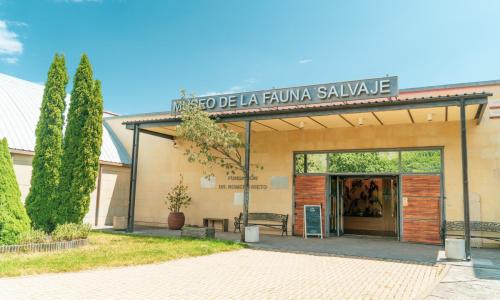 Imagen de Museo de la Fauna Salvaje