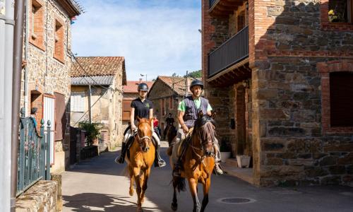 Imagen de Granja Morgovejo (terapias ecuestres)