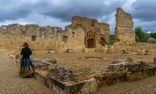 Imagen de  Monasterio de San Pedro de Eslonza