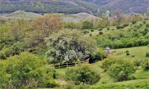 Espino de Villadefrancos