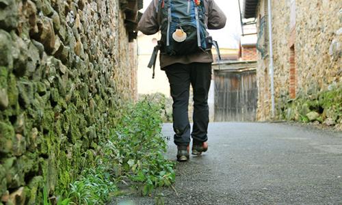 Imagen de ETAPA 3.A CAMINO OLVIDADO: Boñar - La Robla