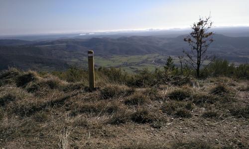 Imagen de SL-LE 6: Ruta por el Pinar de Villares