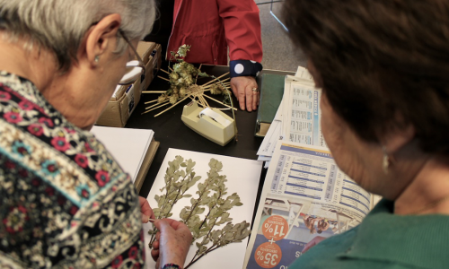 HERBARIUM. EL HERBARIO MANUSCRITO