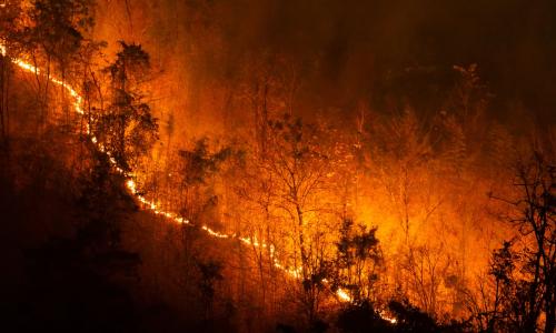 Incendio en Montaña de Riaño: un verano duro, un otoño con más fuerza