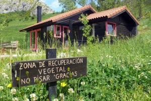 Apartamentos Cabañas Patagónicas0