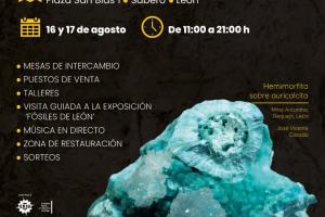 Feria de minerales, rocas y fósiles.0