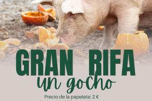 Feria de la Reina.3