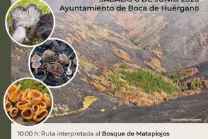 JORNADA SOBRE BIODIVERSIDAD Y REGENERACIÓN.0