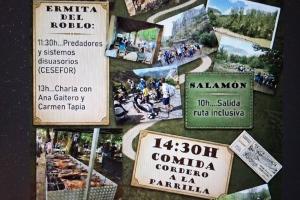 FERIA DE LA TRASHUMANCIA.0