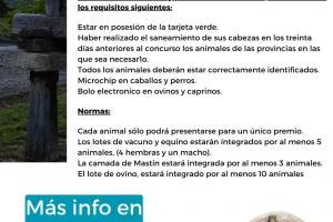 FERIA DE NOVIEMBRE.3