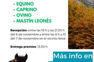 FERIA DE NOVIEMBRE.2