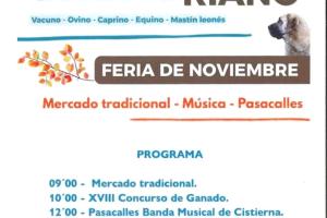 FERIA DE NOVIEMBRE.1