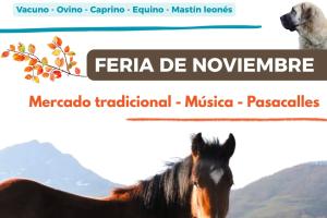 FERIA DE NOVIEMBRE.0