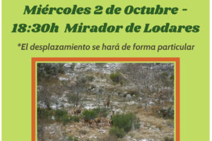 Quedada berrea.0