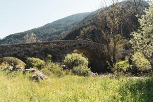 Puente de Los campos de Lugueros3