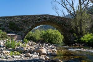 Puente de Los campos de Lugueros2