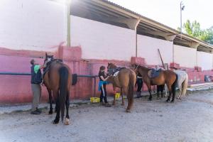 Granja Morgovejo (terapias ecuestres)2