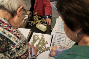 HERBARIUM. EL HERBARIO MANUSCRITO0