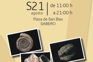 I FERIA Y MESA DE INTERCAMBIO DE MINERALES, ROCAS Y FÓSILES0