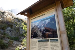 VÍA FERRATA CORDIÑANES EN VALDEÓN0