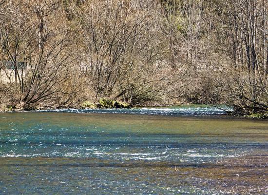 RÍO ESLA (TURISMO MONTAÑA RIAÑO)