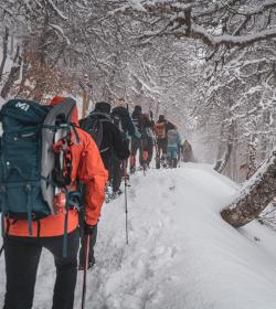 Actividades de nieve
