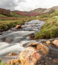 FOTOGRAFÍA DE NATURALEZA