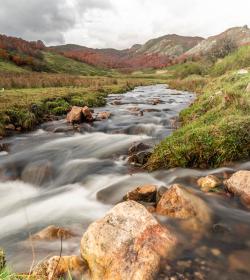 Los caminos del agua