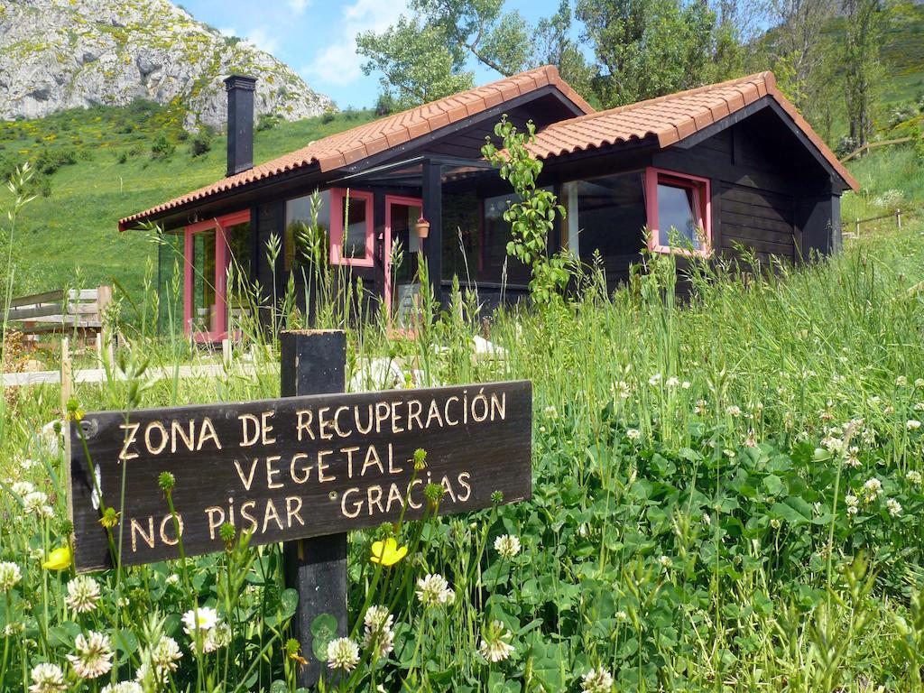 Apartamentos Cabañas Patagónicas0