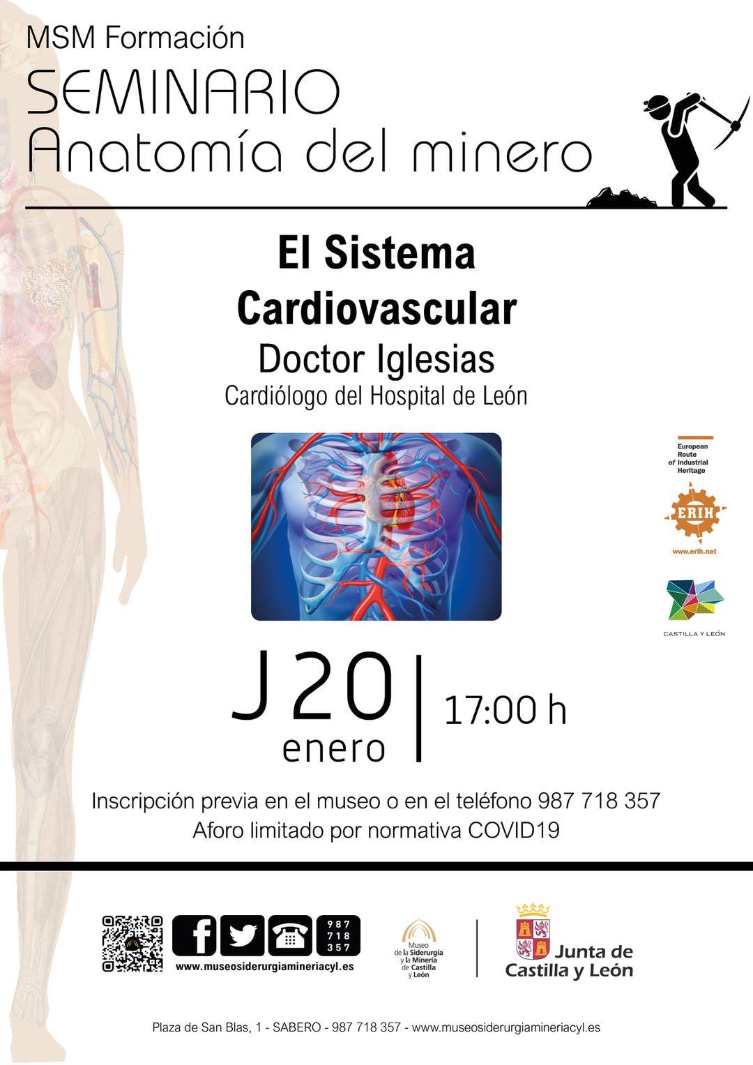 Seminario Anatomía del minero.0