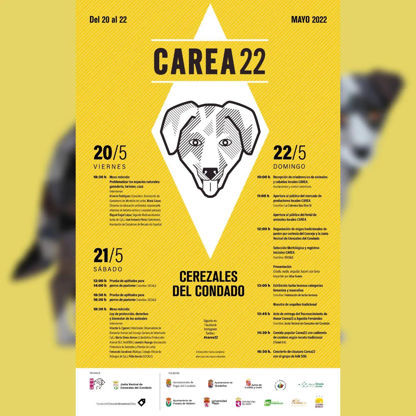 Carea 22.0