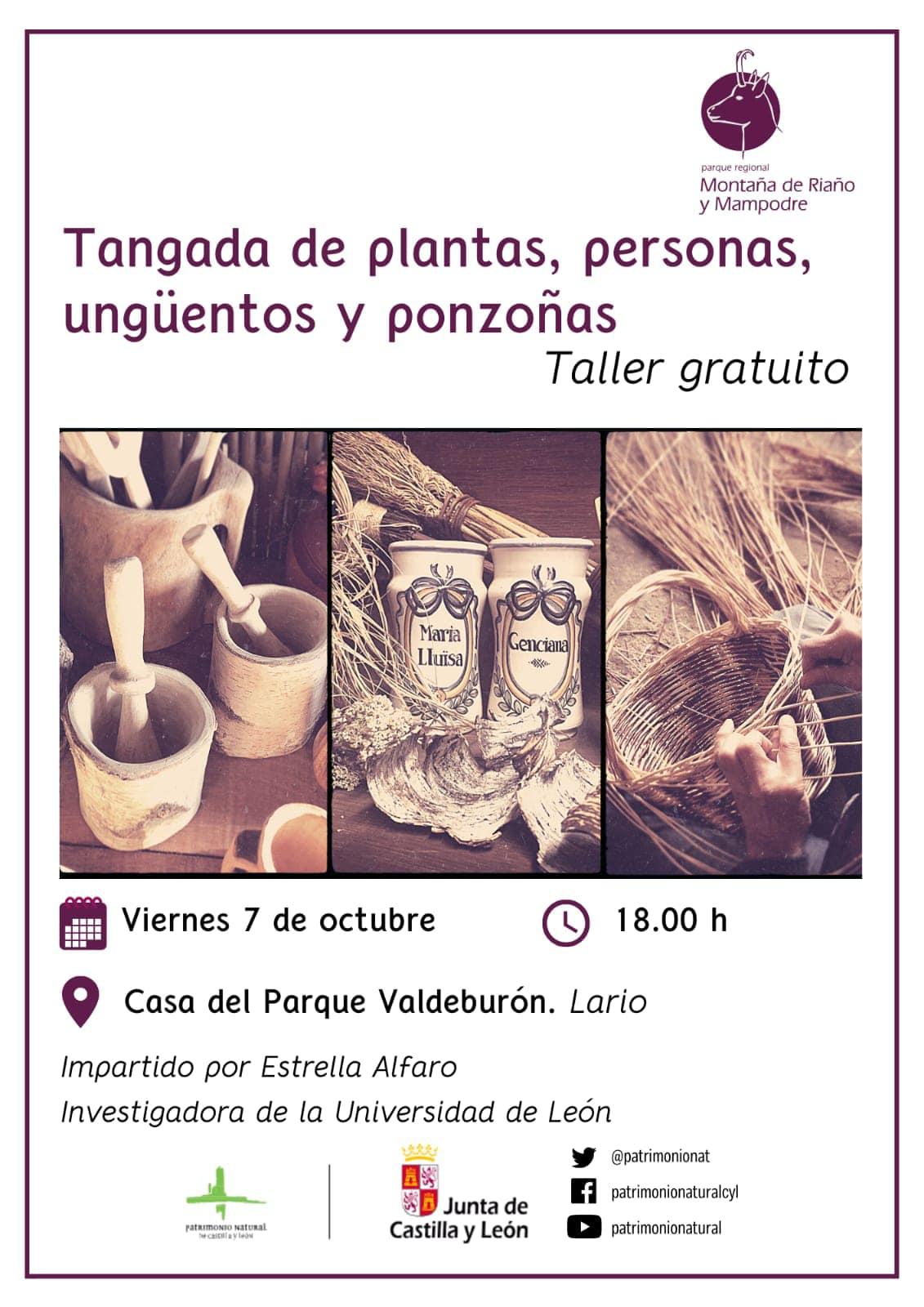 Tangada de plantas, personas, ungüentos y ponzoñas.0