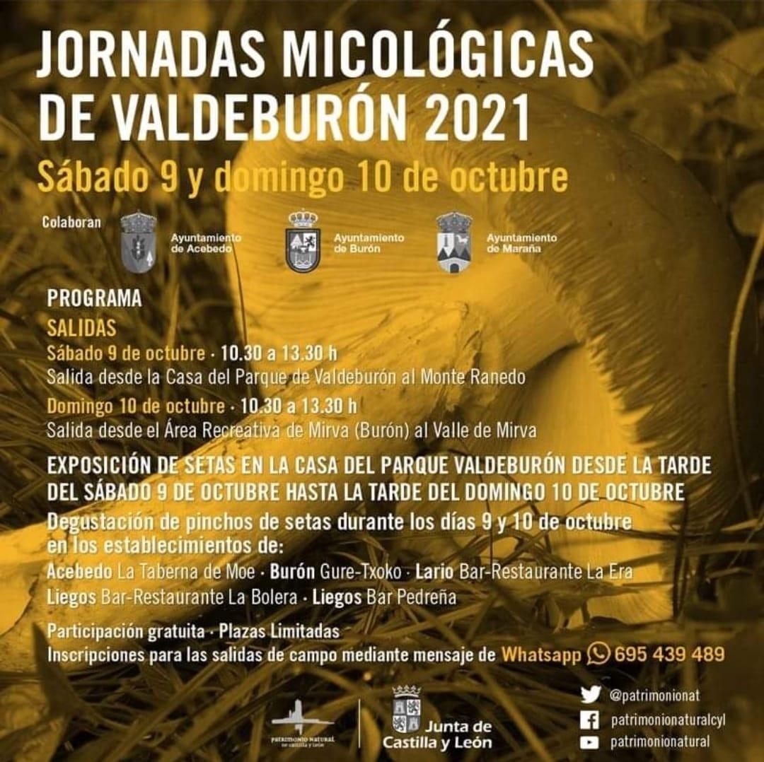 Jornadas Micológicas de Valdeburón 2021.0