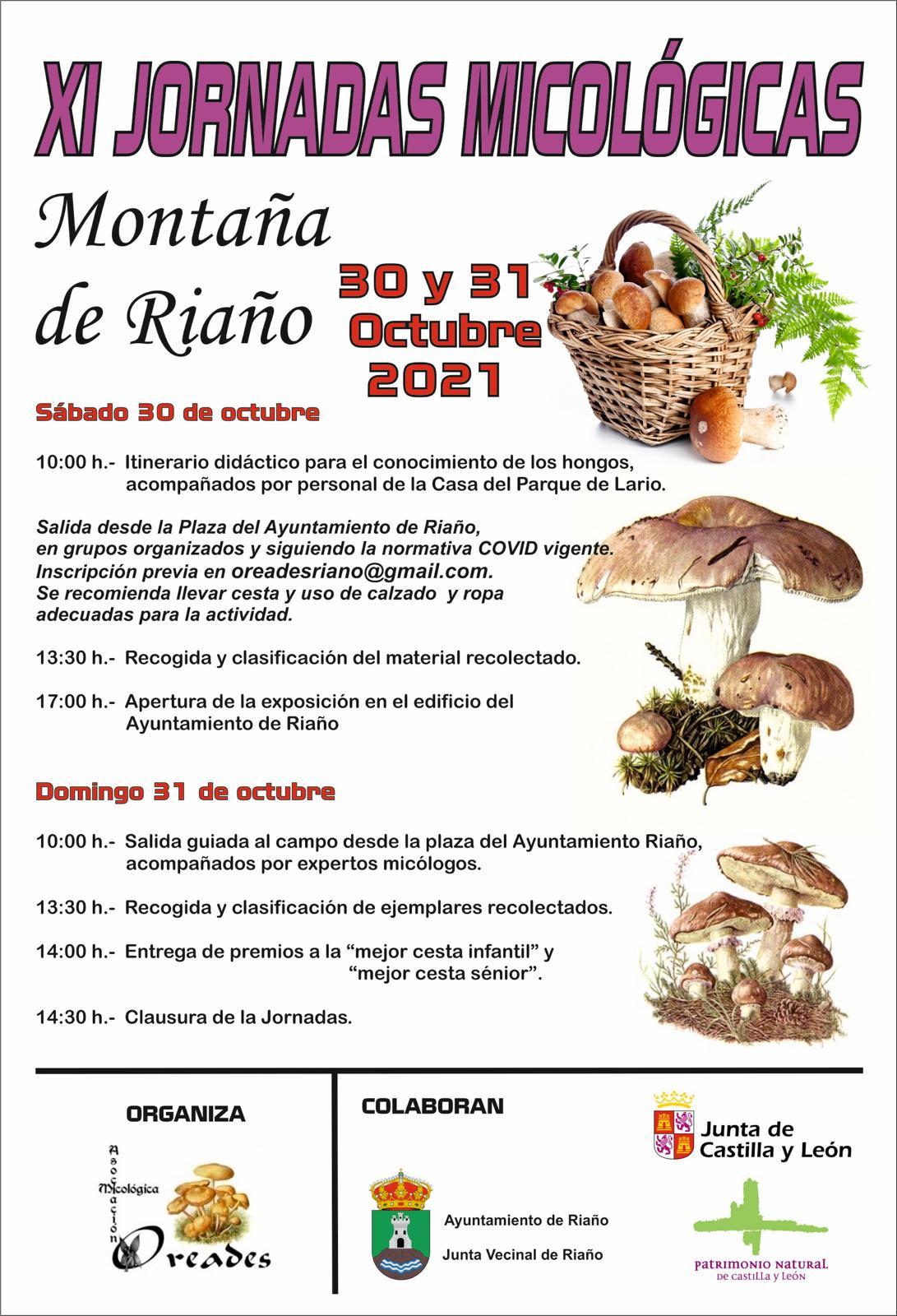 XI Jornadas Micológicas Montaña de Riaño0