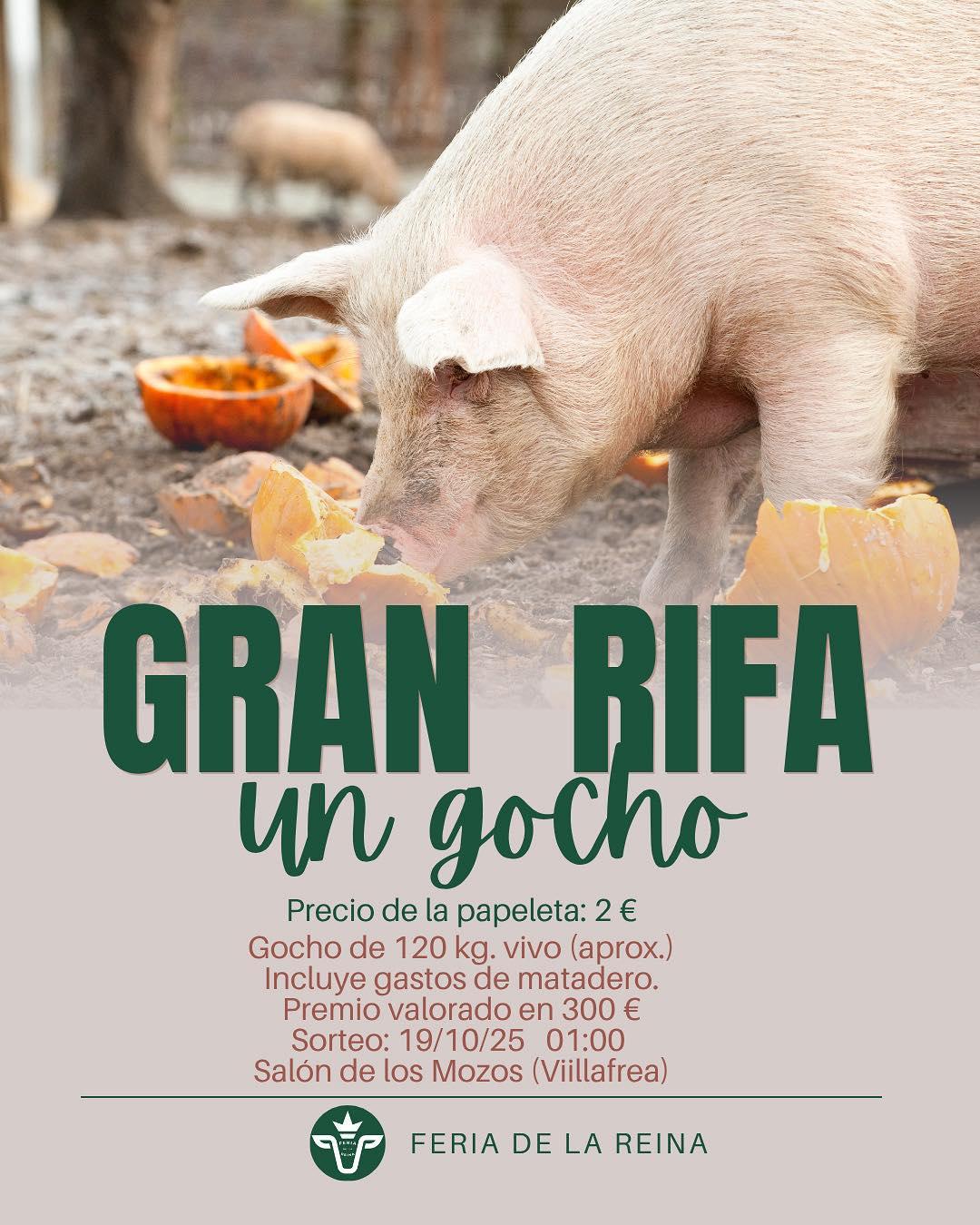 Feria de la Reina.3